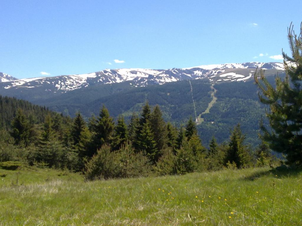 Mountain Dreams Apartment Saparewa Banja Exterior foto
